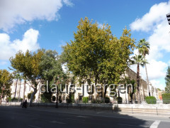 Tabakfabrik Sevilla