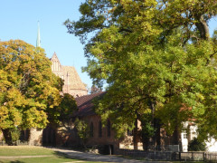 Brandenburg > KLoster Chorin