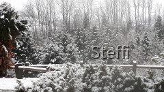 20181224_104309