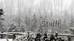 20181224_123006