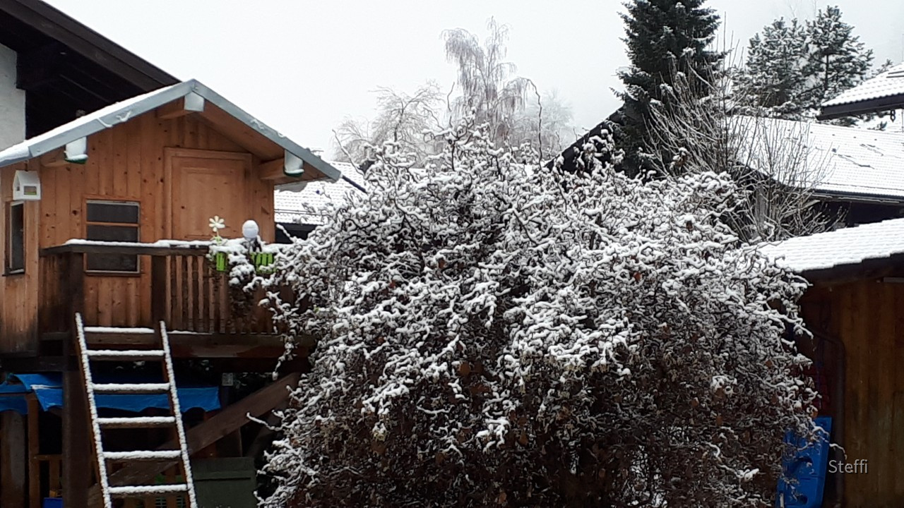 20181224_104248_001