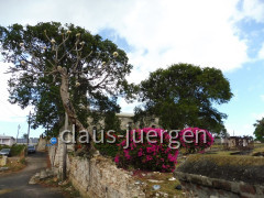 Antigua Saint John's