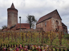 Burg Stargard