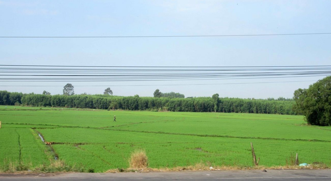Vietnam_06
