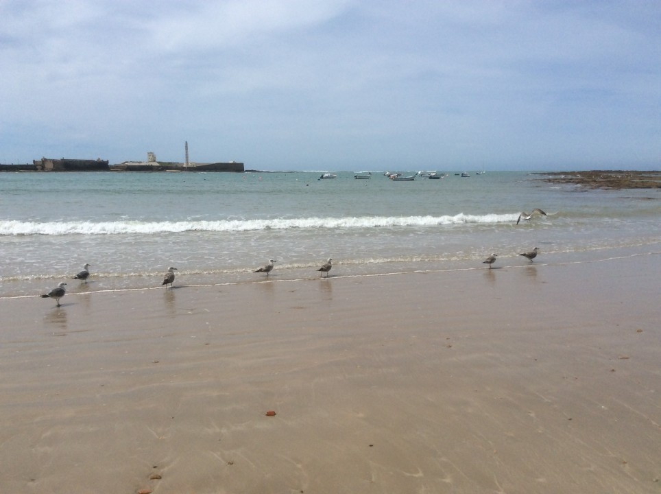 Cadiz