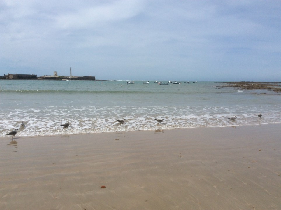 Cadiz
