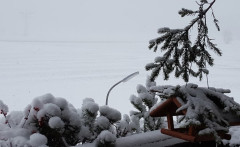 5. Januar