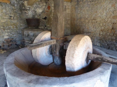 Ölmühle r
