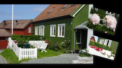 Holzhäuser in Trondheim