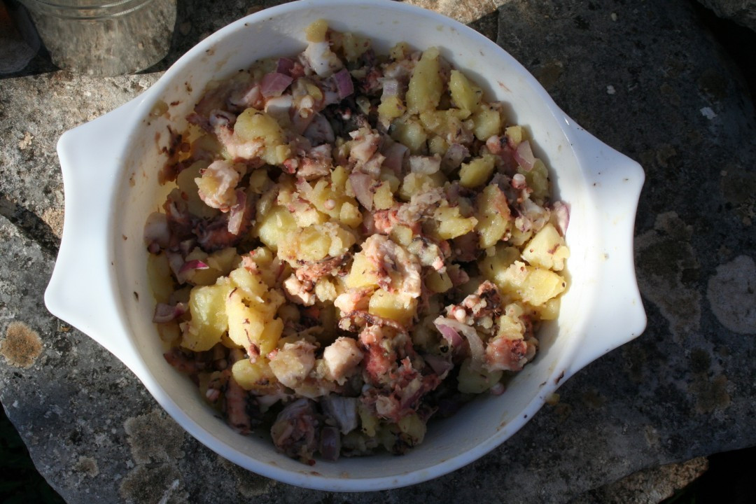 Octopussalat