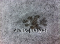 Winter Langerringen