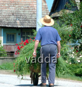 Naturpark Lonjsko Polje