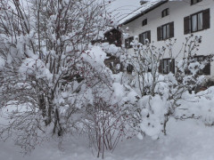 11.Jan 2019