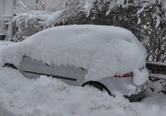 Parken