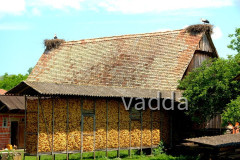 Naturpark Lonjsko Polje