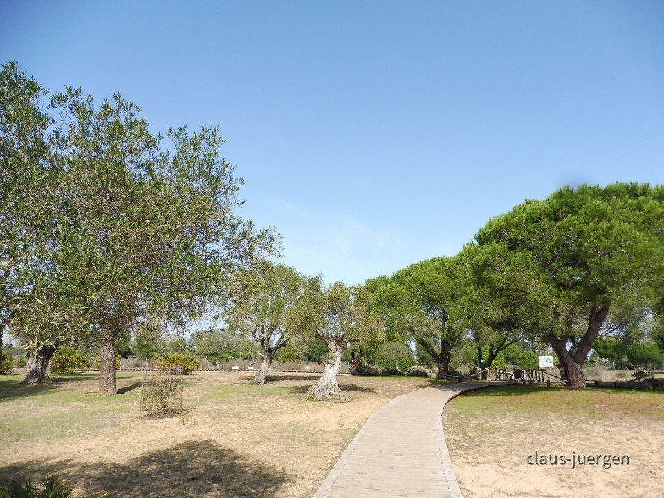 Coto de Donana
