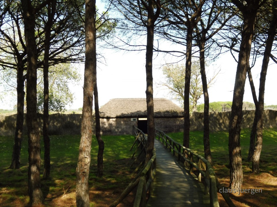Coto de Donana