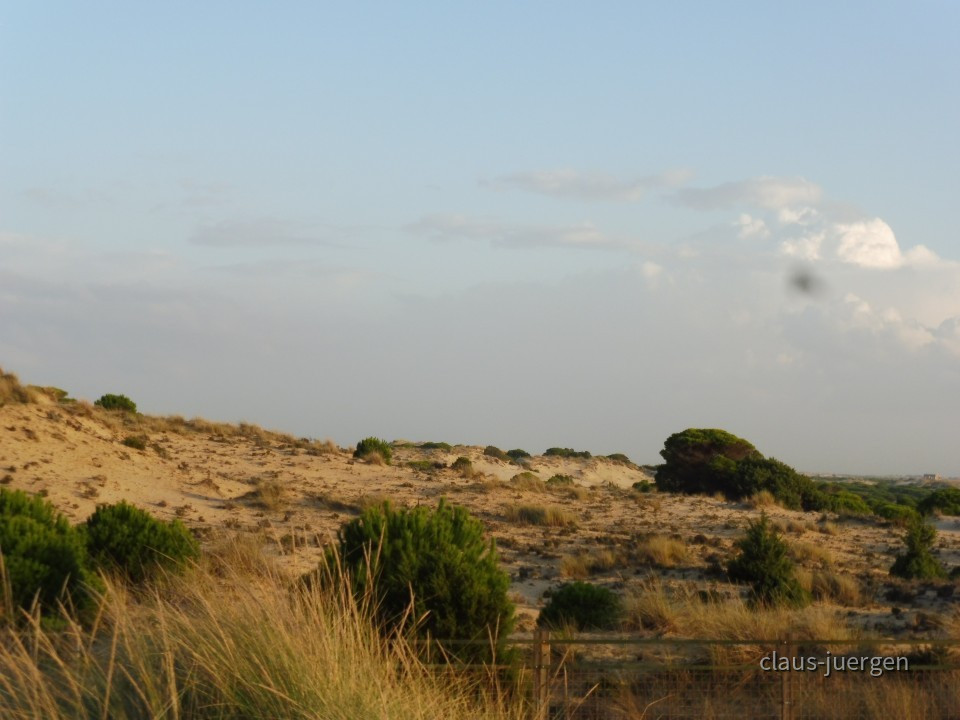 Coto de Donana