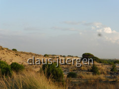 Coto de Donana