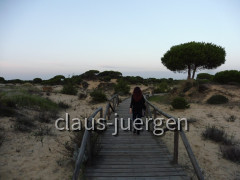 Coto de Donana