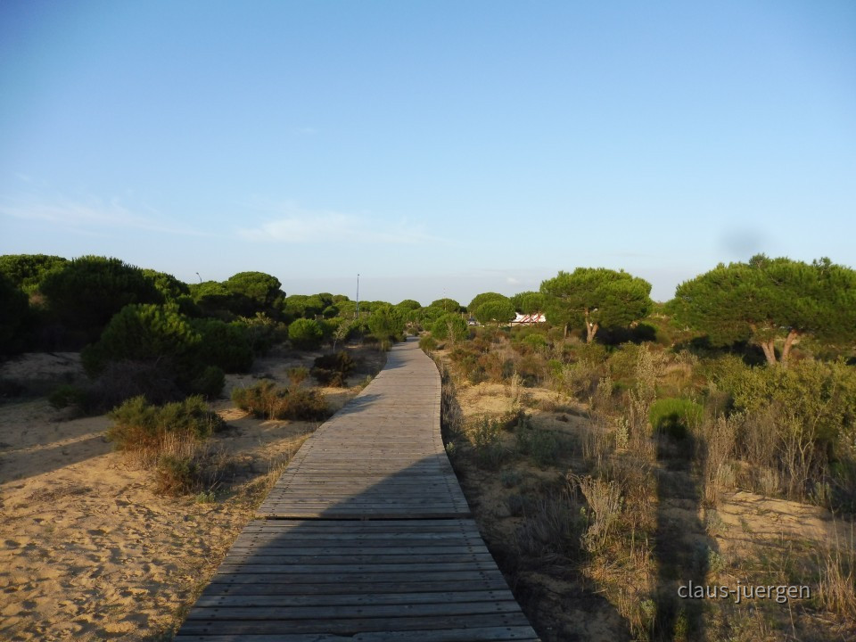 Coto de Donana