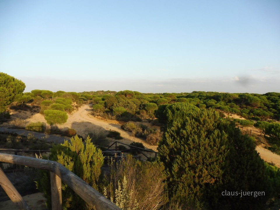 Coto de Donana