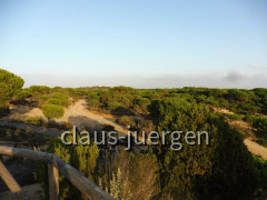 Coto de Donana