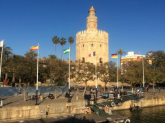 Torro del Oro