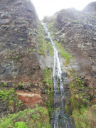 Calhau