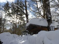 bei der Bäckeralm  (1)