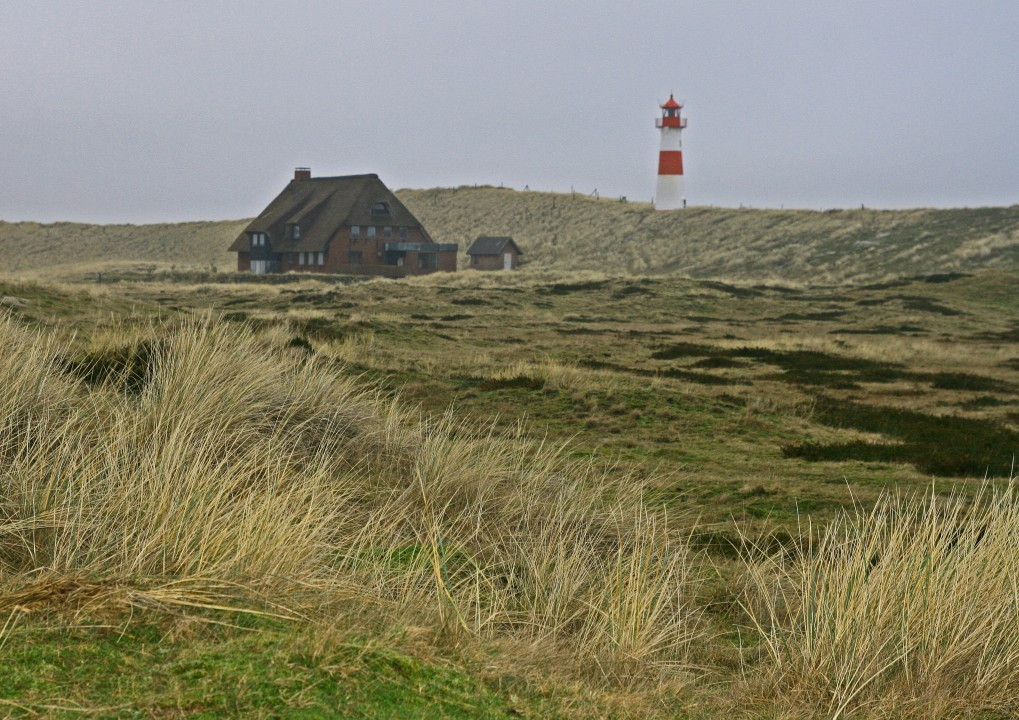 Sylt > Leuchtturm LIst West im Naturschutzgebier Ellenbogen