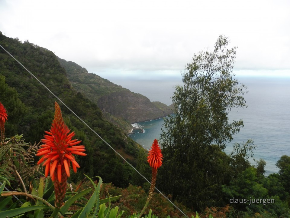 Faial