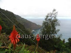 Faial