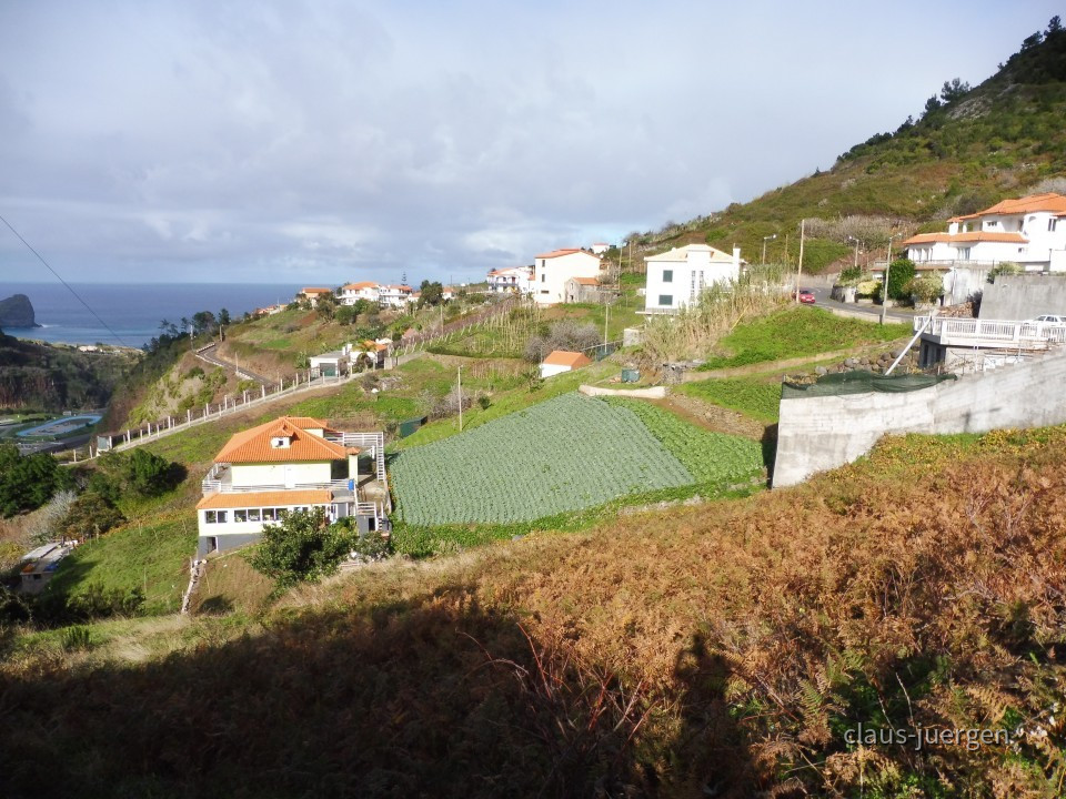 Faial