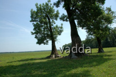Naturpark Lonjsko Polje