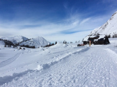 Tauplitzalm