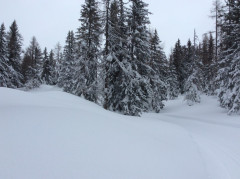 Tauplitzalm