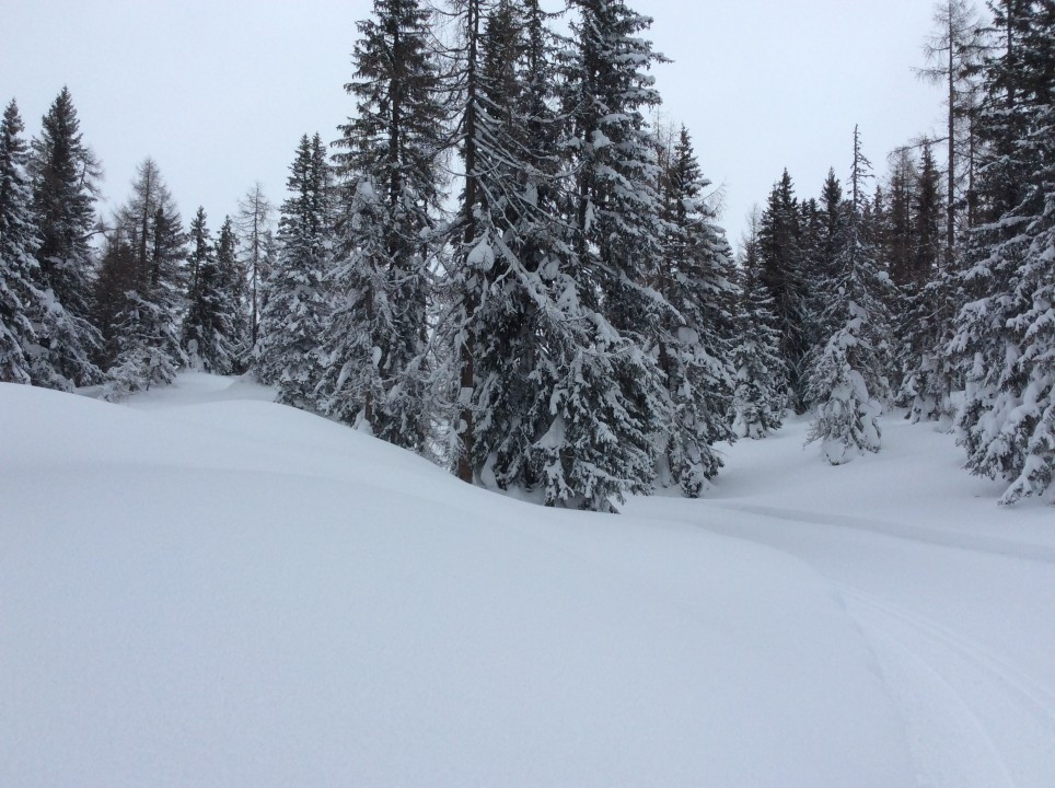 Tauplitzalm