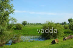 Naturpark Lonjsko Polje