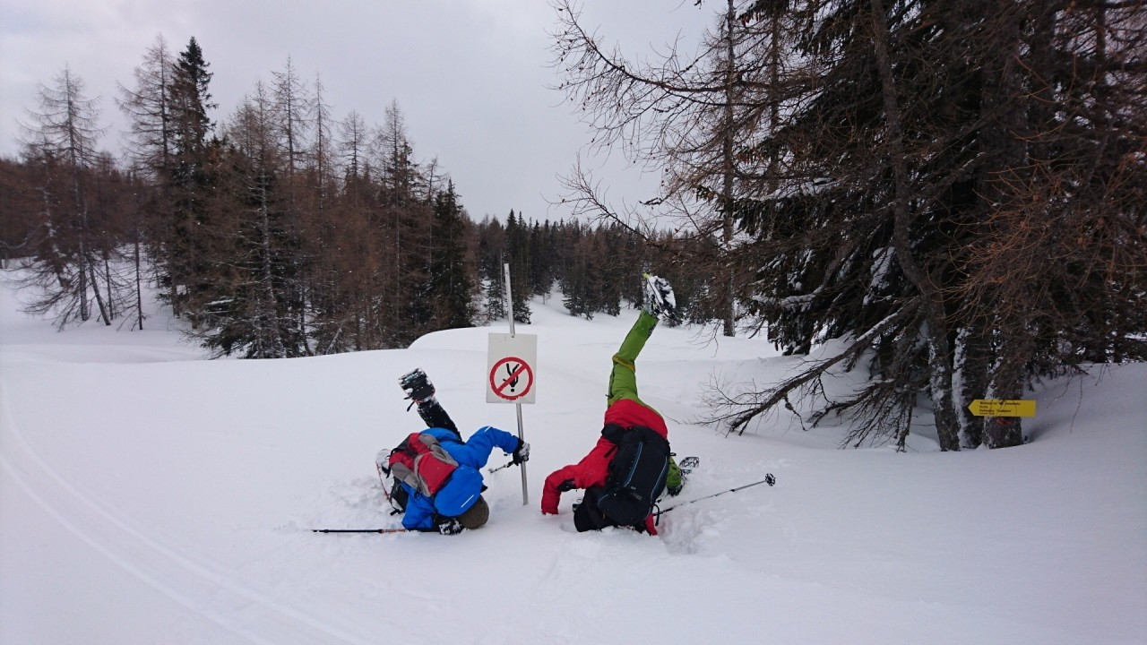 Tauplitzalm