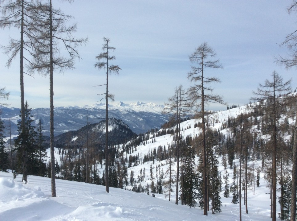 Tauplitzalm