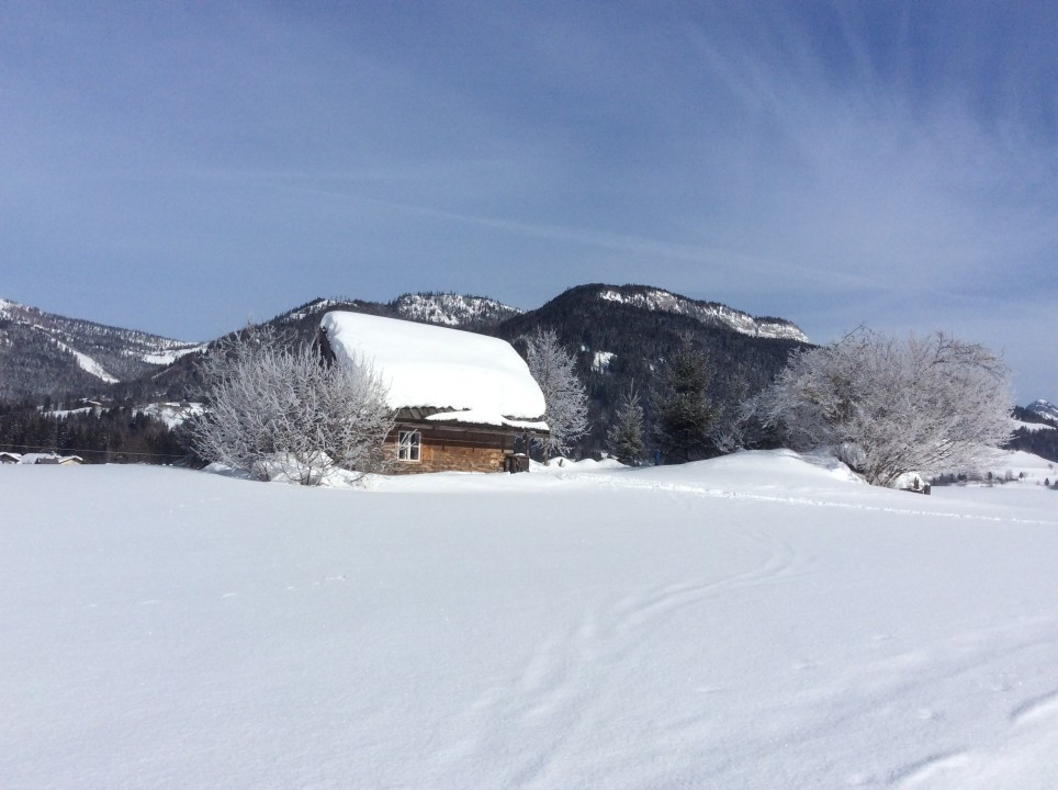 Tauplitzalm
