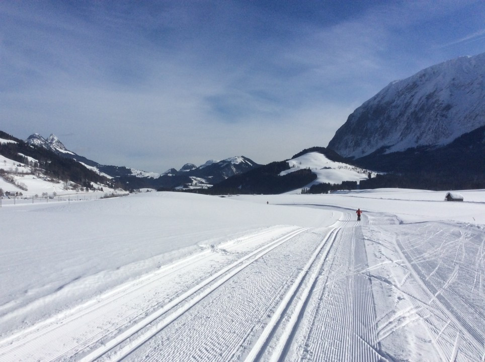 Tauplitzalm