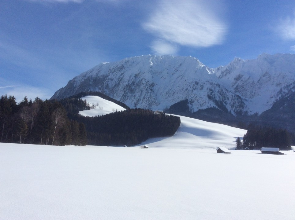Tauplitzalm