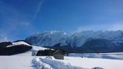 Tauplitzalm