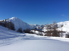 Tauplitzalm