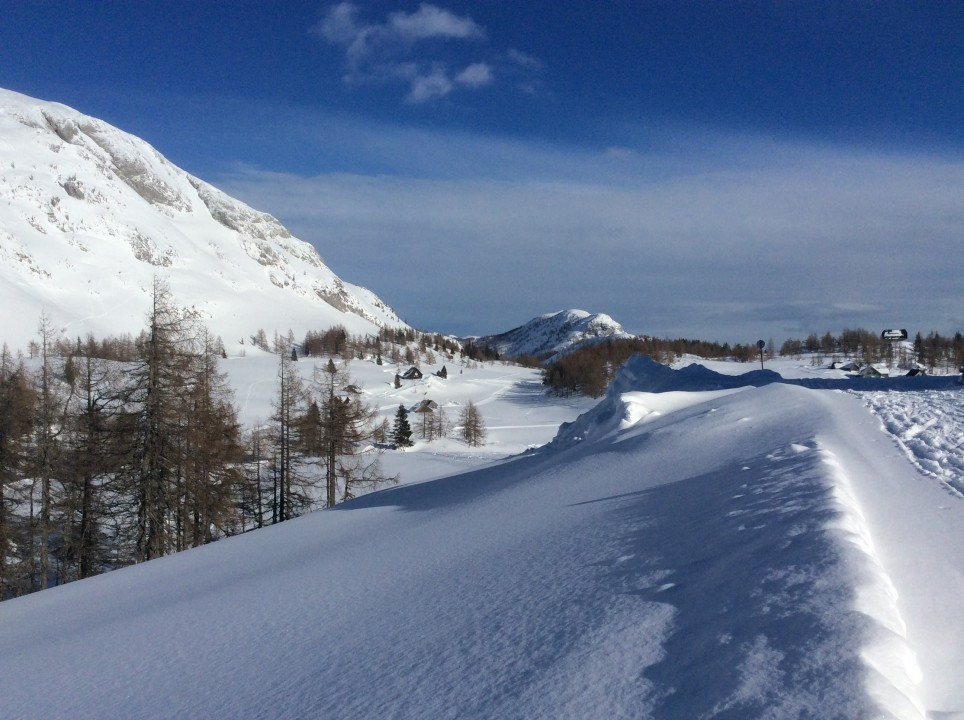 Tauplitzalm