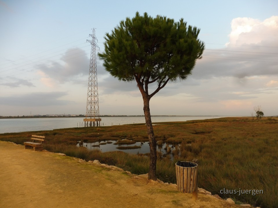 Muelle de las Carabellas