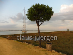 Muelle de las Carabellas