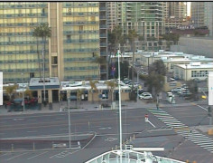 Bugcam San Diego